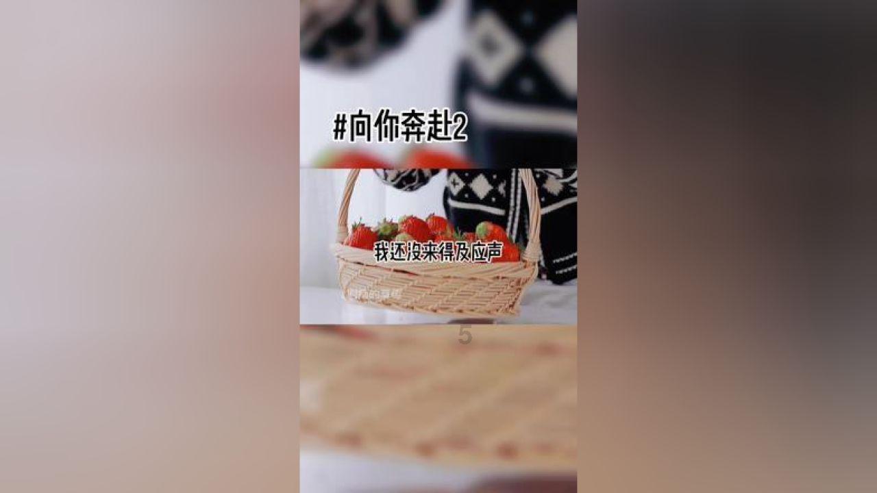 雷火官方网站入口